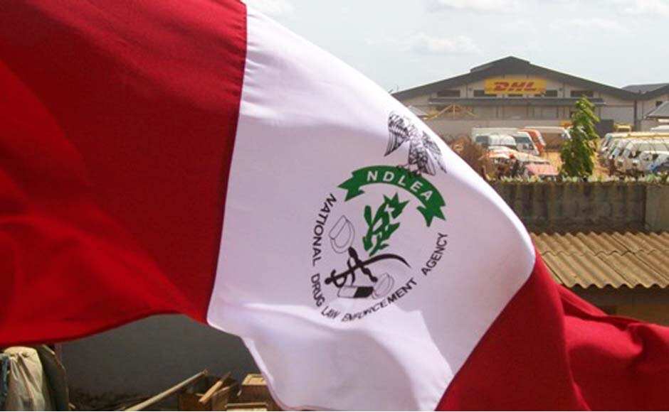 NDLEA Mandates Drug Test On Nigerian Students