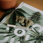Ghana Lawmakers Passes Cannabis Cultivation