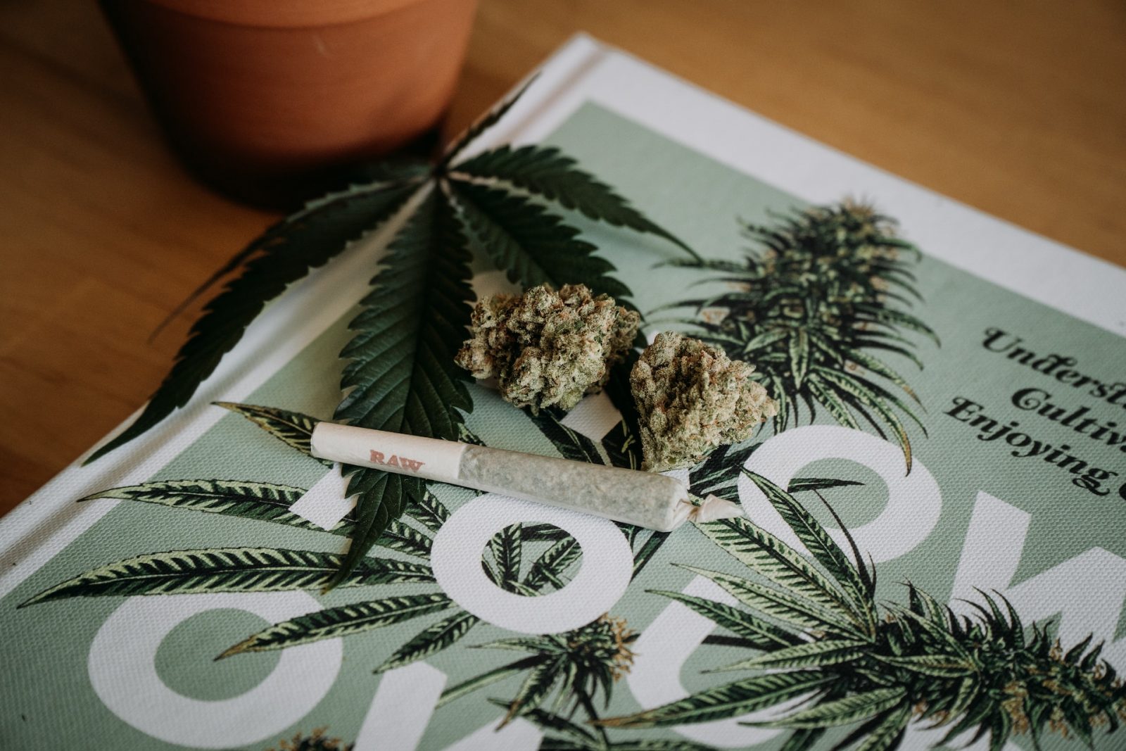 Ghana Lawmakers Passes Cannabis Cultivation