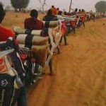 Customs Smuggling