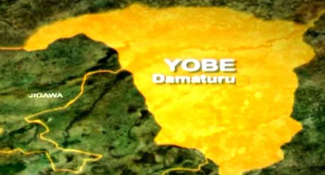 meningitis-yobe state