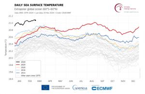 Daily sea surface temperature (°C) averaged over the extra-polar global ocean (60°S–60°N) for 2015 (dark blue), 2016 (light blue), 2020 (yellow), 2023 (red), and 2024 (black line). All other years between 1979 and 2022 are shown with grey lines. COPERNICUS CLIMATE CHANGE SERVICE/ECMWF
