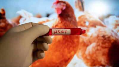 Moderna's bird flu vaccine.