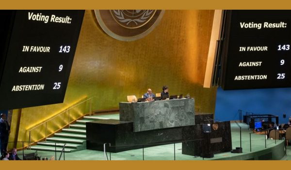 UN adopts resolution granting Palestine's 'Observer State' rights