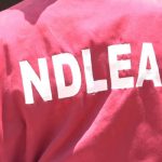 Visa NDLEA Husband's Approval