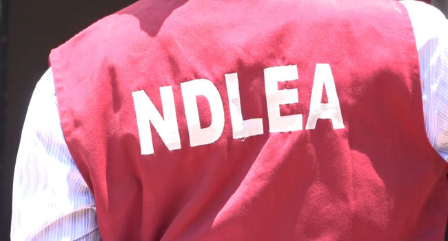 Visa NDLEA Husband's Approval