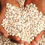 Nigerian Beans