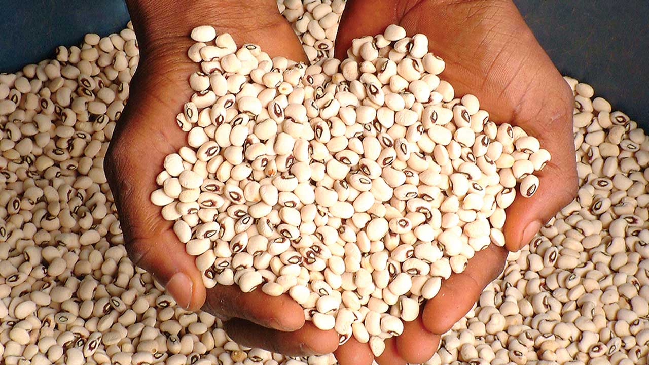 Nigerian Beans