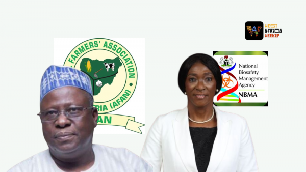 NBMA Refutes Farmers President's Claim On GMO Crops Approval Without NAFDAC, Others Input