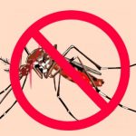 Malaria-free Egypt