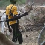 Protests Adamawa