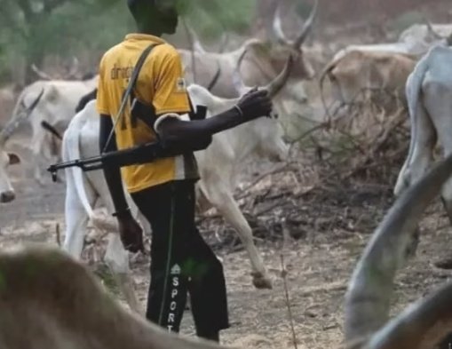 Protests Adamawa