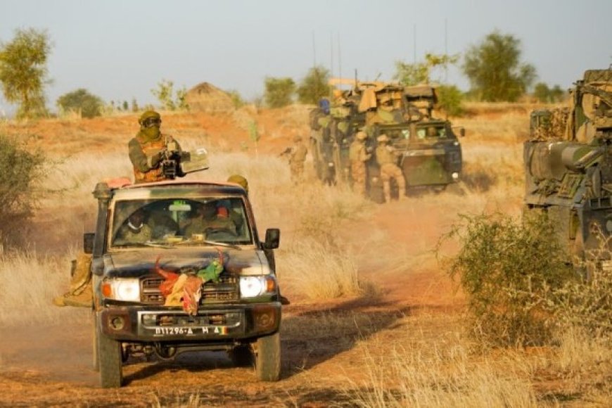 CSS Forces Terrorist Ménaka